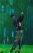 tiger woods 2